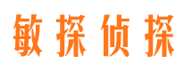 西沙调查公司